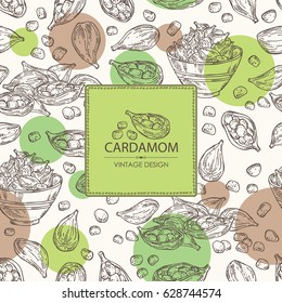 Background with cardamom: seeds and a plate with seeds cardamom. hand drawn