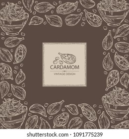 Background with cardamom: seeds and a plate with seeds cardamom. Vector hand drawn illustration