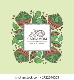 Background with cardamom: seeds and a plate with seeds cardamom. Vector hand drawn illustration