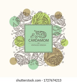 Background with cardamom: seeds and a plate with seeds cardamom. Vector hand drawn illustration