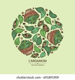 Background with cardamom: seeds and a plate with seeds cardamom. Vector hand drawn illustration. 