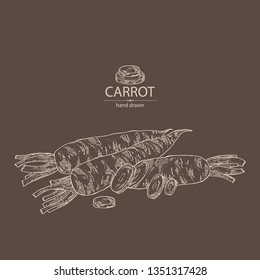Background with carrot: full carrot and slices. Vector hand drawn illustration