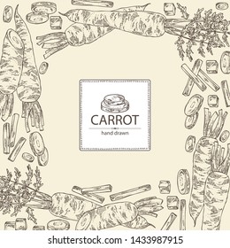 Background with carrot: full carrot and slices. Vector hand drawn illustration