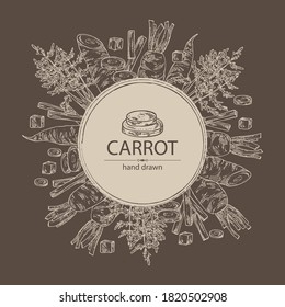 Background with carrot: full carrot and slices. Vector hand drawn illustration