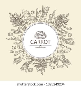 Background with carrot: full carrot and slices. Vector hand drawn illustration