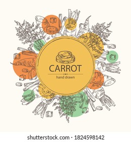 Background with carrot: full carrot and slices. Vector hand drawn illustration