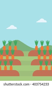 Antecedentes del cultivo de zanahorias en el campo 