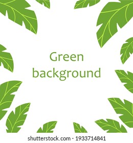 Background From Cartoon Green Leaves. Nature Theme. Simple Vector Illustration Isolated On White Background.