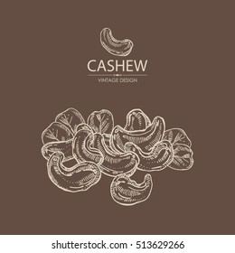Background with with cashew. Hand drawn