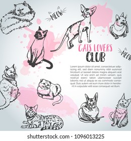 Background with cat breeds. Cats lovers club Cute kitten sketch Vector