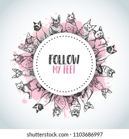 Background with cat breeds. Follow my feet text Vector illustration Cute kitten sketch. Pet care newsletter