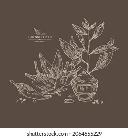 Background with cayenne pepper: cayenne pepper plant, seeds and whole cayenne pepper. Vector hand drawn illustration.