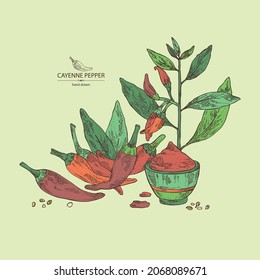 Antecedentes con cayenne pimienta: planta de pimienta cayenne, semillas y pimienta cayenne entera. Ilustración dibujada a mano por vectores.
