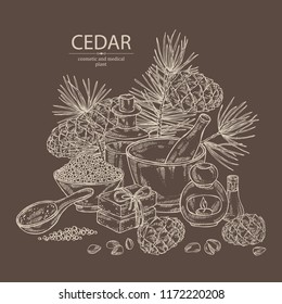 Background with cedar: branch, cedar cone, oil, soap and bath salt . Cosmetic and medical plant. Vector hand drawn illustration. 