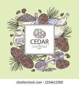 Background with cedar: branch, cedar cone, oil, soap and bath salt . Cosmetic and medical plant. Vector hand drawn illustration. 