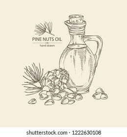 Background with cedar cone and bottle of cedar oil. Vector hand drawn illustration