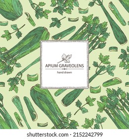 Antecedentes con apio: planta de apio, hojas y pieza de apio. Granos de aluminio. Ilustración dibujada a mano por vectores. 