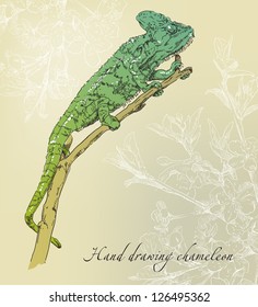 Background with chameleon