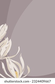 background with champaca flowers, Magnolia x alba, White, gray