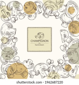 Background with champignon: agaricus and a few champignon mushrooms. Vector hand drawn Mushroom illustrations