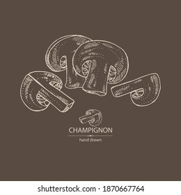 Antecedentes con campeón: el agarcio de hongos y un poco el campeón. Setas. Ilustración dibujada a mano por el vector