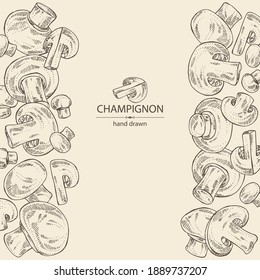 Background with champignon: mushroom agaricus and a bit of champignon. Mushroom. Vector hand drawn illustration