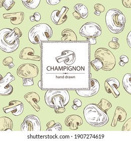 Background with champignon: mushroom agaricus and a bit of champignon. Mushroom. Vector hand drawn illustration