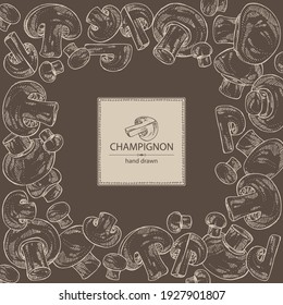 Background with champignon: mushroom agaricus and a bit of champignon. Mushroom. Vector hand drawn illustration