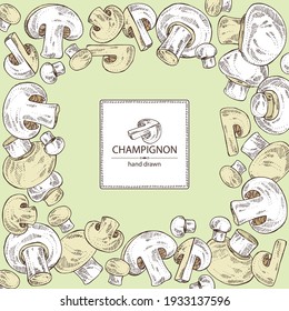 Background with champignon: mushroom agaricus and a bit of champignon. Mushroom. Vector hand drawn illustration