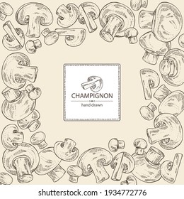 Background with champignon: mushroom agaricus and a bit of champignon. Mushroom. Vector hand drawn illustration