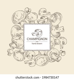 Background with champignon: mushroom agaricus and a bit of champignon. Mushroom. Vector hand drawn illustration