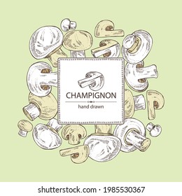 Background with champignon: mushroom agaricus and a bit of champignon. Mushroom. Vector hand drawn illustration