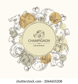 Antecedentes con campeón: el agarcio de hongos y un poco el campeón. Setas. Ilustración dibujada a mano por el vector