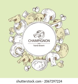Background with champignon: mushroom agaricus and a bit of champignon. Mushroom. Vector hand drawn illustration