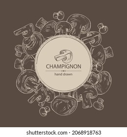 Background with champignon: mushroom agaricus and a bit of champignon. Mushroom. Vector hand drawn illustration