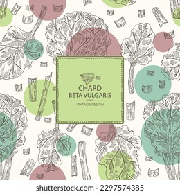 Background with chard: chard plant, mangold leaves and piece of mangold. Beta vulgaris. Vector hand drawn illustration. 