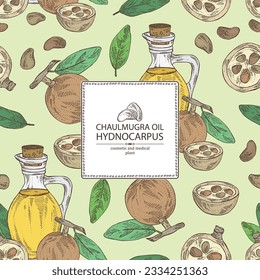 Background with chaulmugra: plant and chaulmugra fruits and bottle of chaulmugra oil. Hydnocarpus. Vector hand drawn illustration