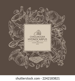 Background with chaulmugra: plant and chaulmugra fruits. Hydnocarpus.  Oil, soap and bath salt . Cosmetics and medical plant. Vector hand drawn illustration
