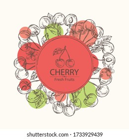 Background with cherry: berries and flower. Vector hand drawn illustration