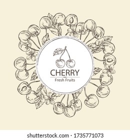 Fondo con cereza: bayas y flores. Ilustración dibujada a mano por el vector