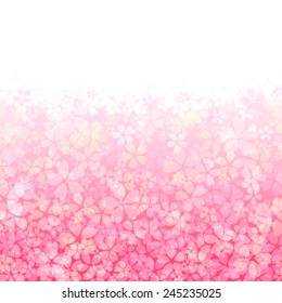 Background of the cherry blossom