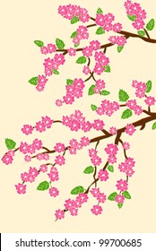 background with cherry blossom