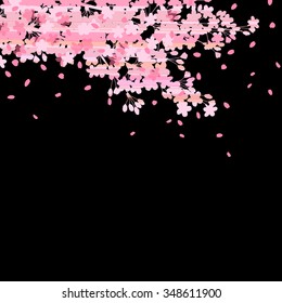 Background of cherry blossoms by night