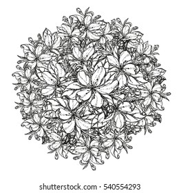 background of cherry flowers