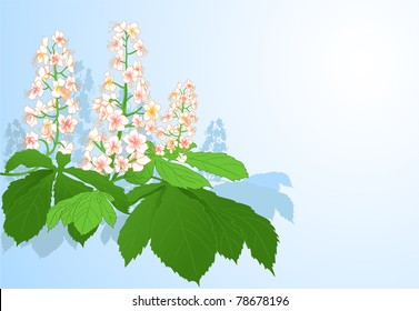 Background with chestnut flowers