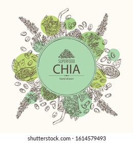 Background with chia: cocktail with chia and blueberries, plant and seeds. Super food. Vector hand drawn illustration