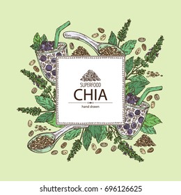 Background with chia: cocktail with chia and blueberries, plant and seeds. Superfood. Vector hand drawn illustration