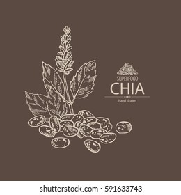 Background With Chia: Plant And Seeds. Superfood. Hand Drawn