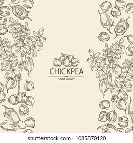 Background with chickpea: chickpea bean, pod, chickpea plant and leaves Vector hand drawn illustration