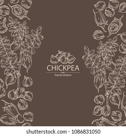 Background with chickpea: chickpea bean, pod, chickpea plant and leaves Vector hand drawn illustration